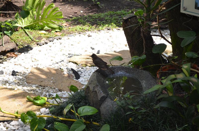 Hotel Aromax Del Campestre Medellin Luaran gambar